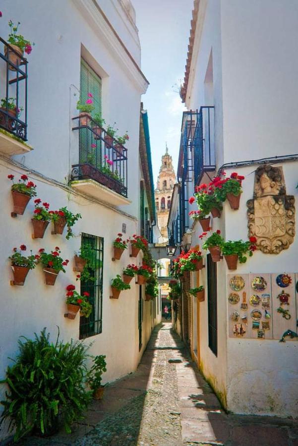 Casa Juanma Lägenhet Córdoba Exteriör bild